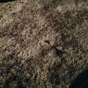 Meet your Posher, Douglas